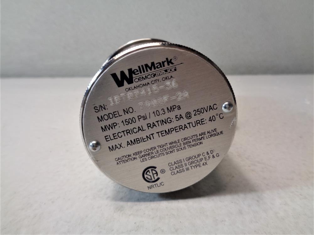 WellMark 2"NPT Float Switch 790SF-2A